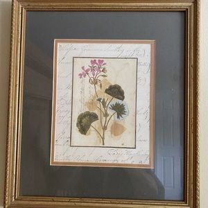 Geranium Gold Framed Floral Print Numbered